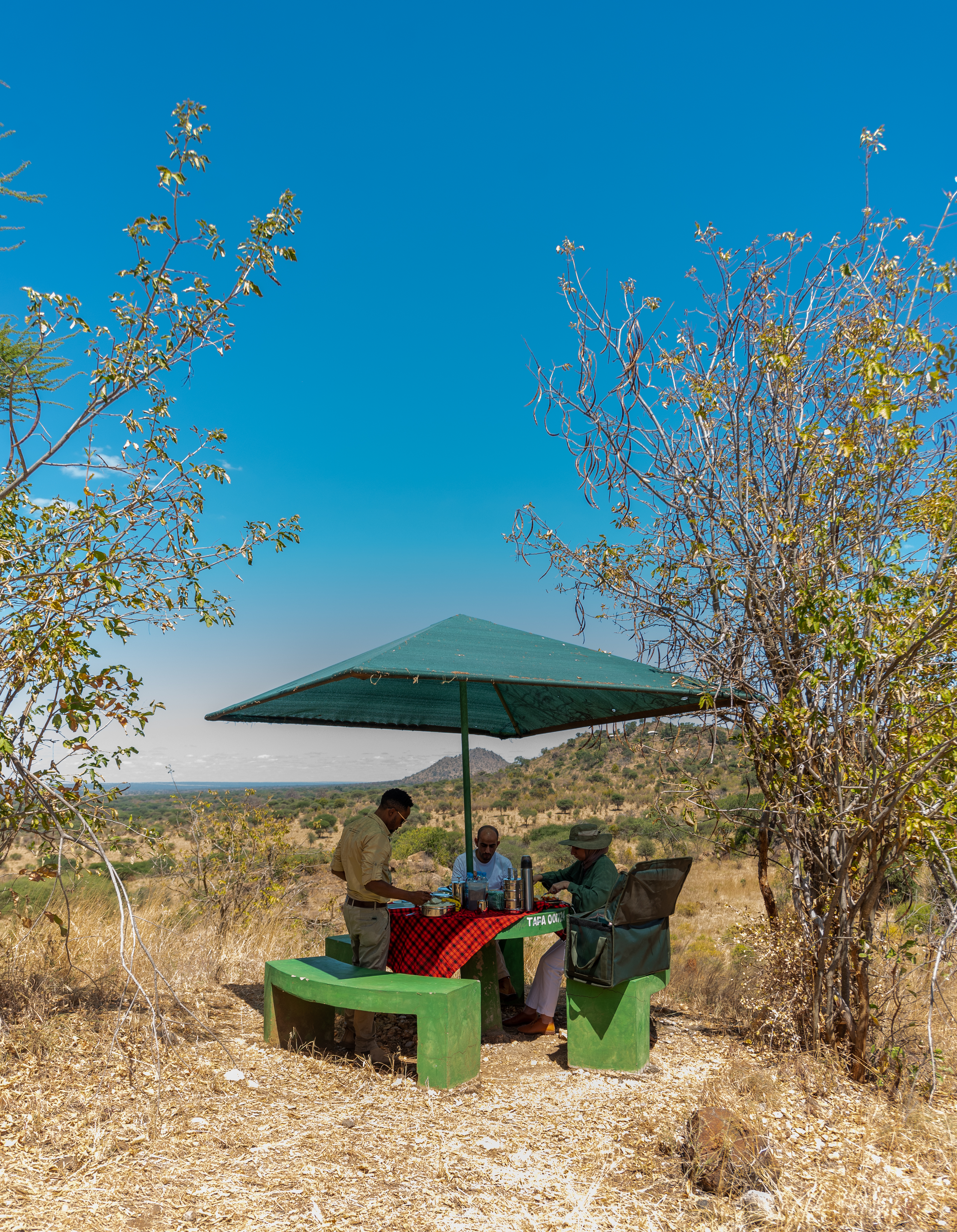Tarangire National Park landscape