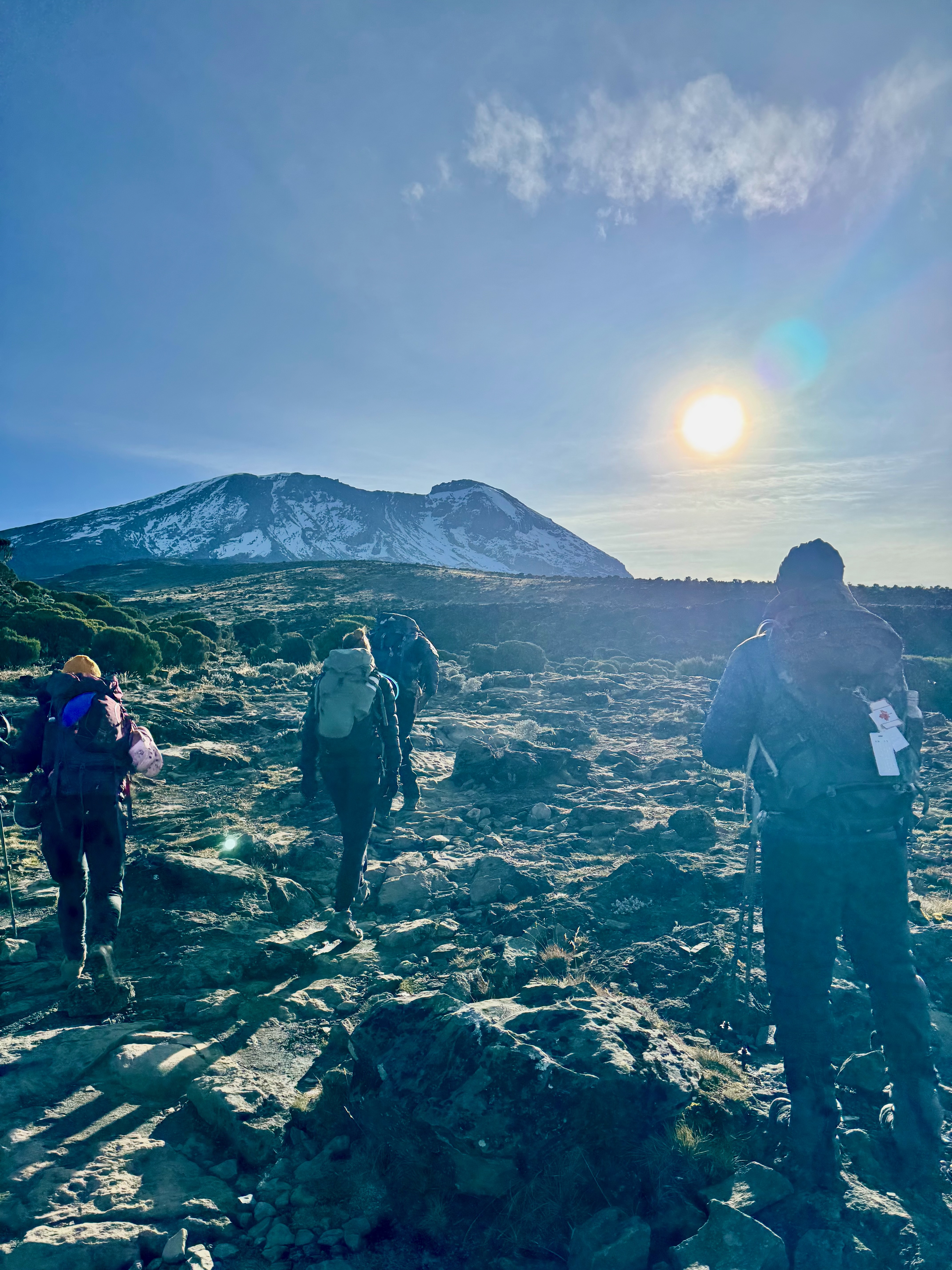 Kilimanjaro rainforest zone