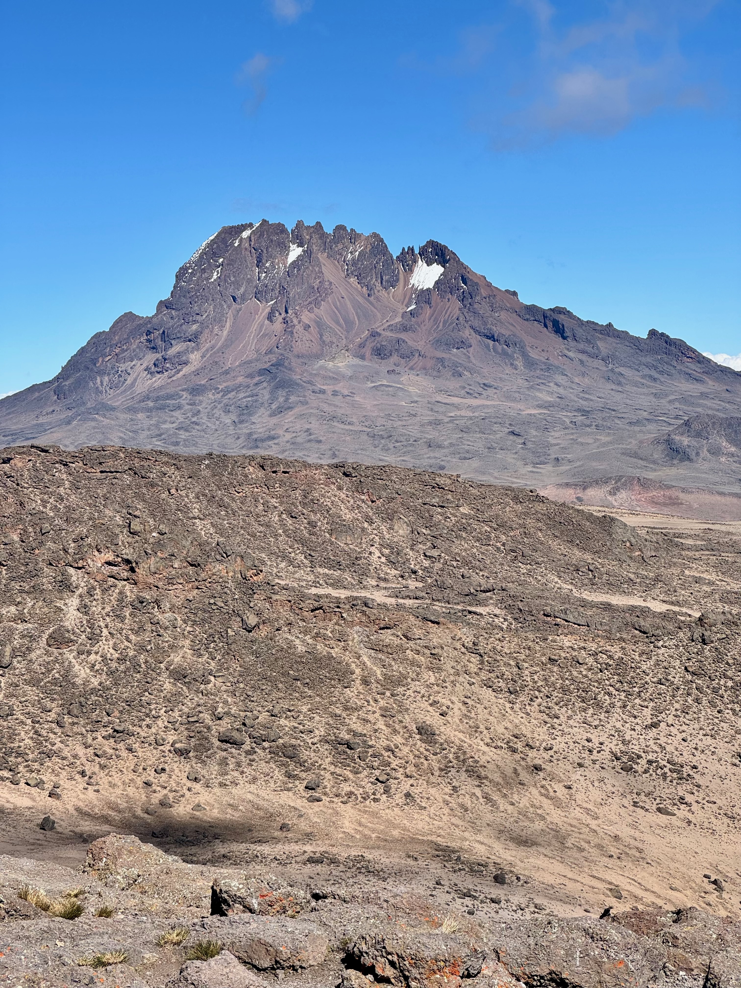 Group trekking Kilimanjaro