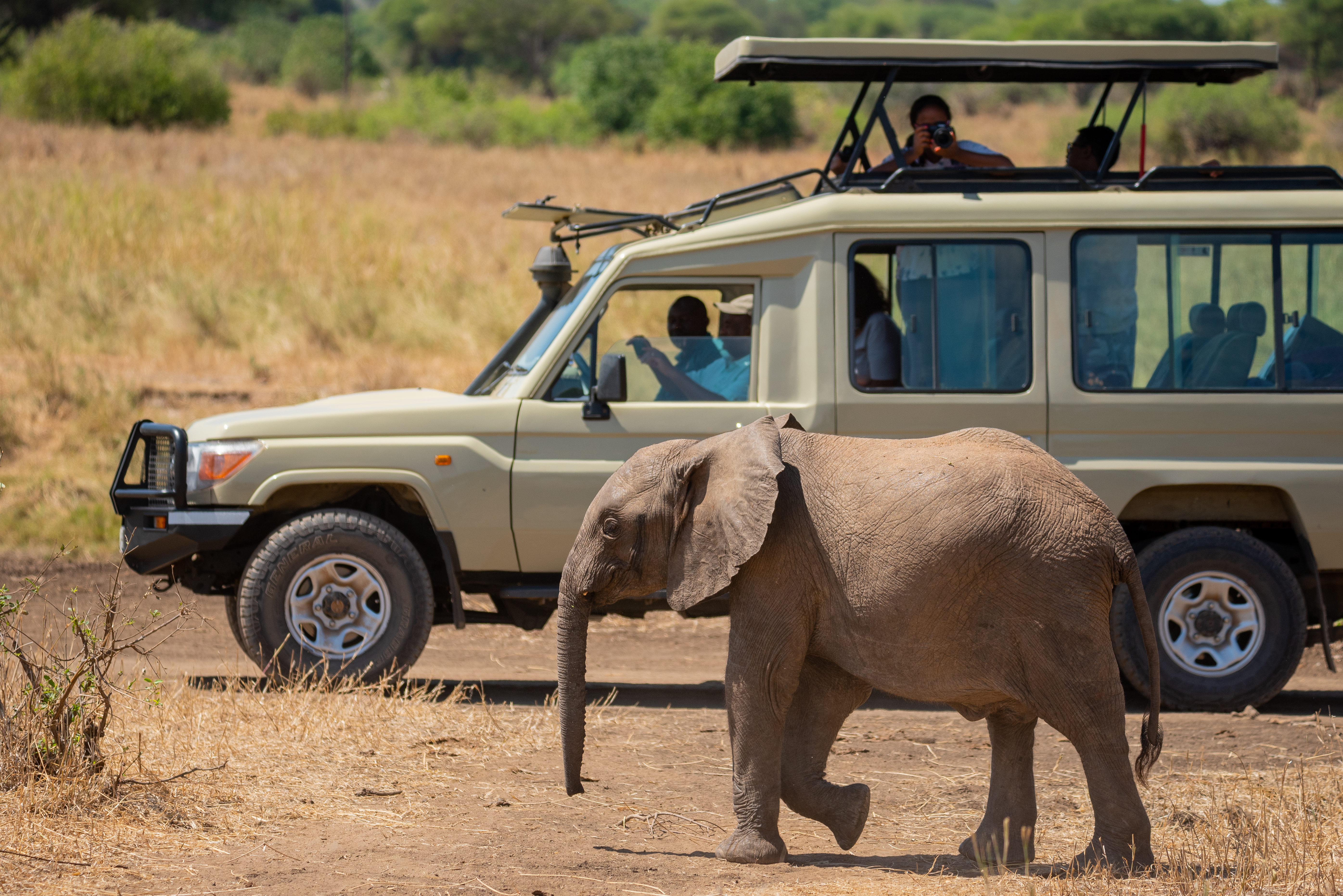 Northern Circuit Safari Landscape