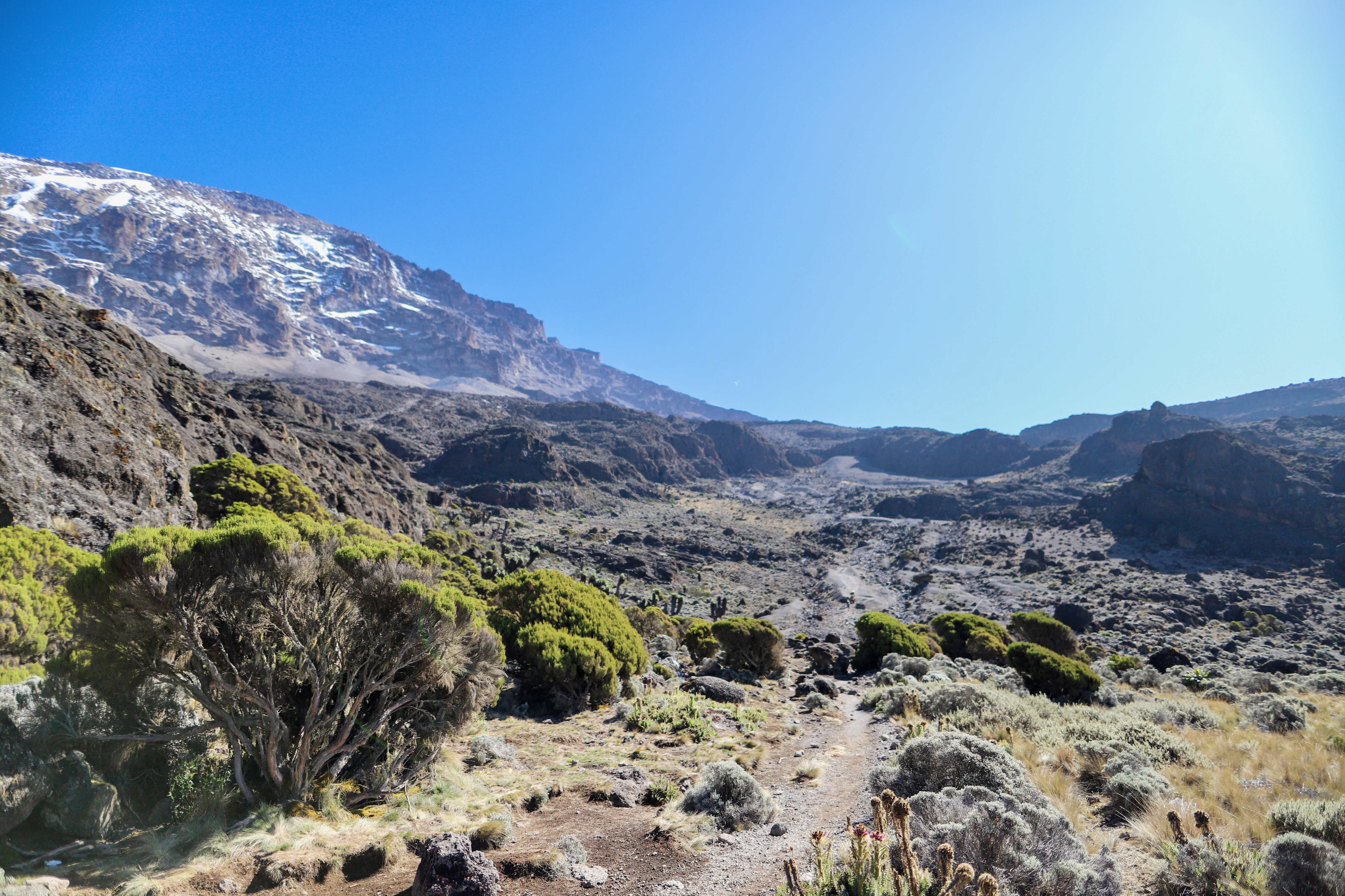 7-Day Extended Rongai Climb