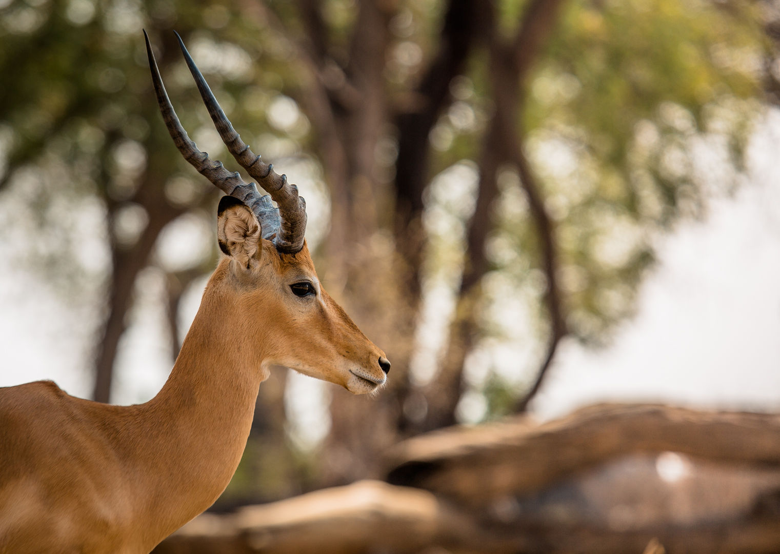 Serengeti National Park