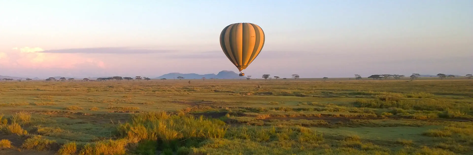 Balloon Safaris