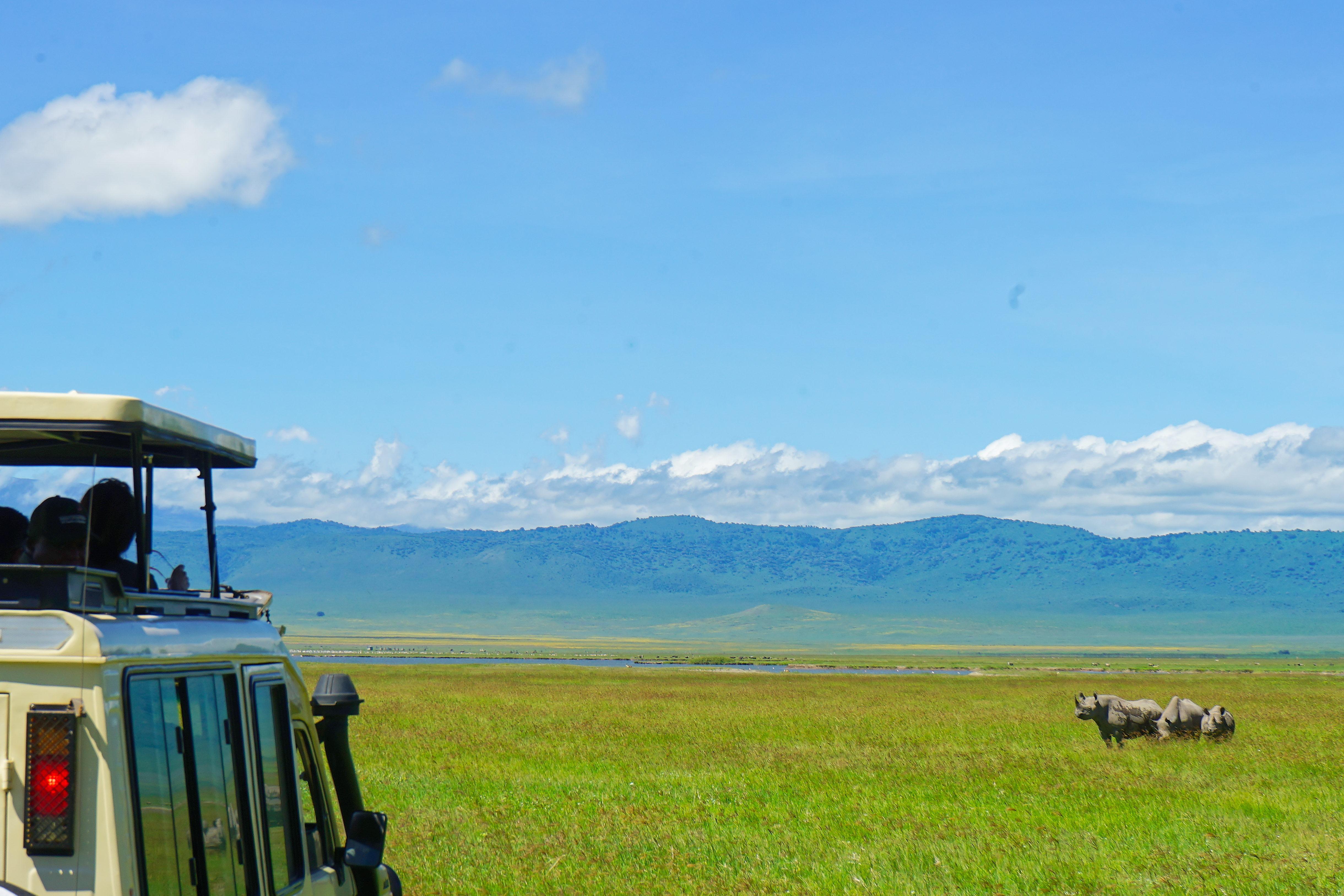 Safari adventure image