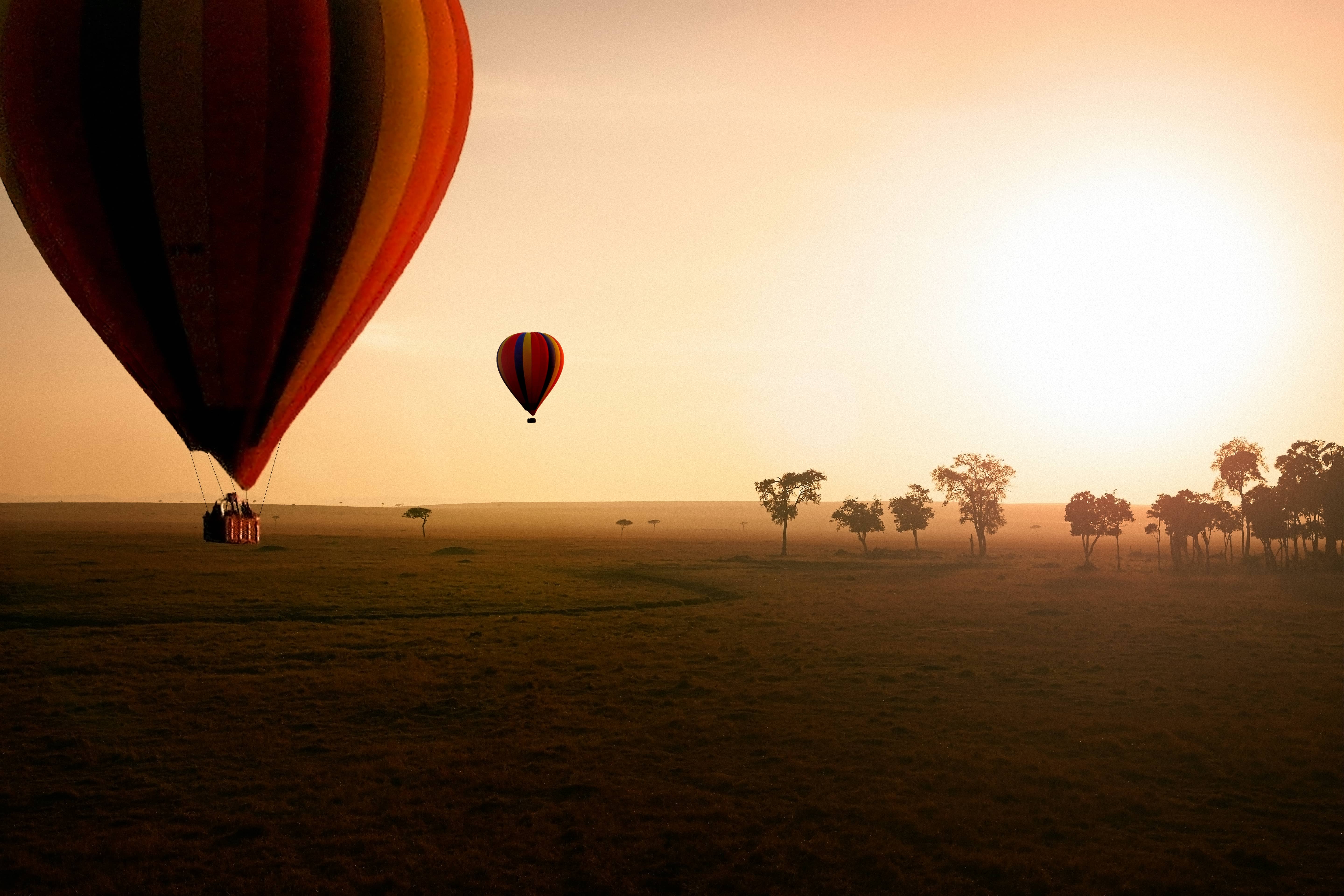 Colorful birds in Tarangire