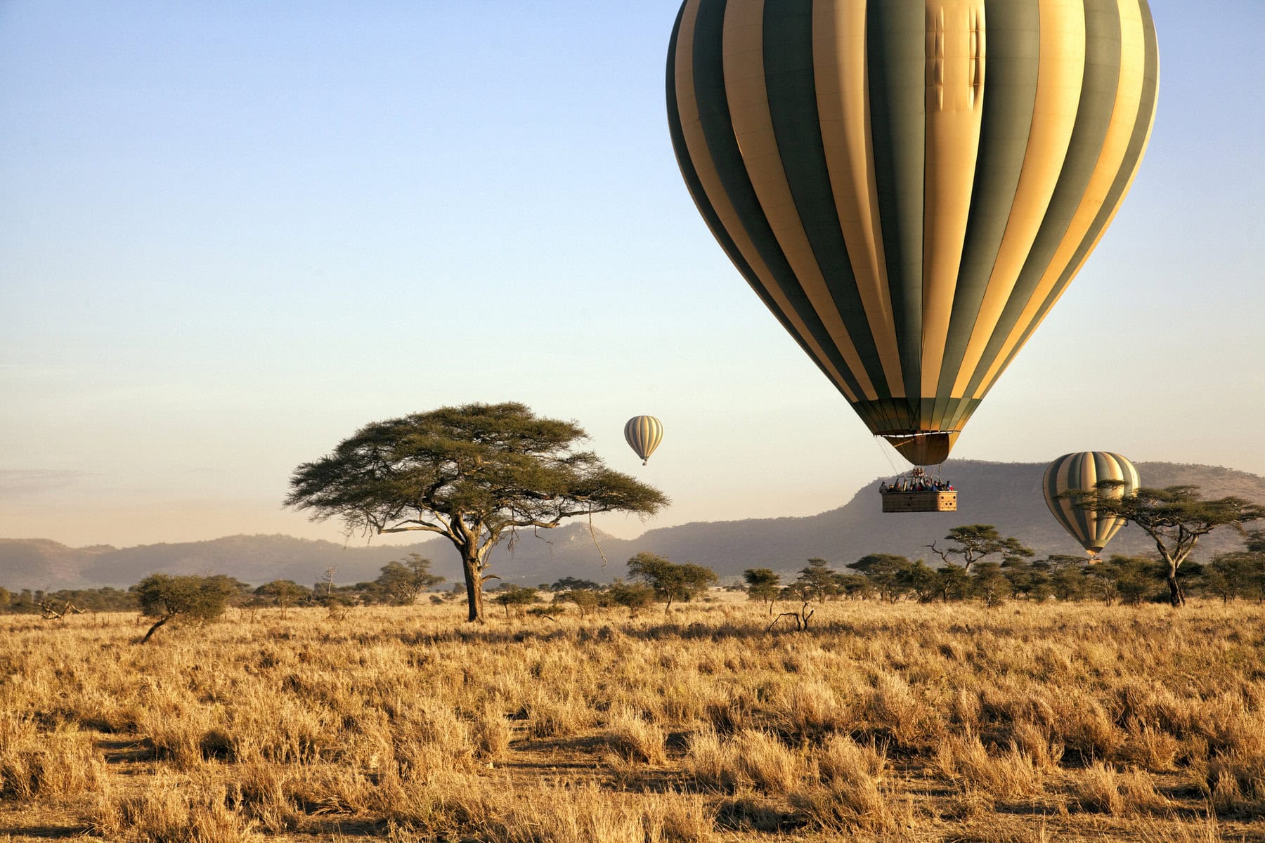 Hot Air Balloon Safari