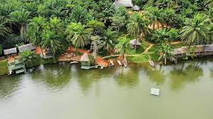 Usambara Mountains Hiking