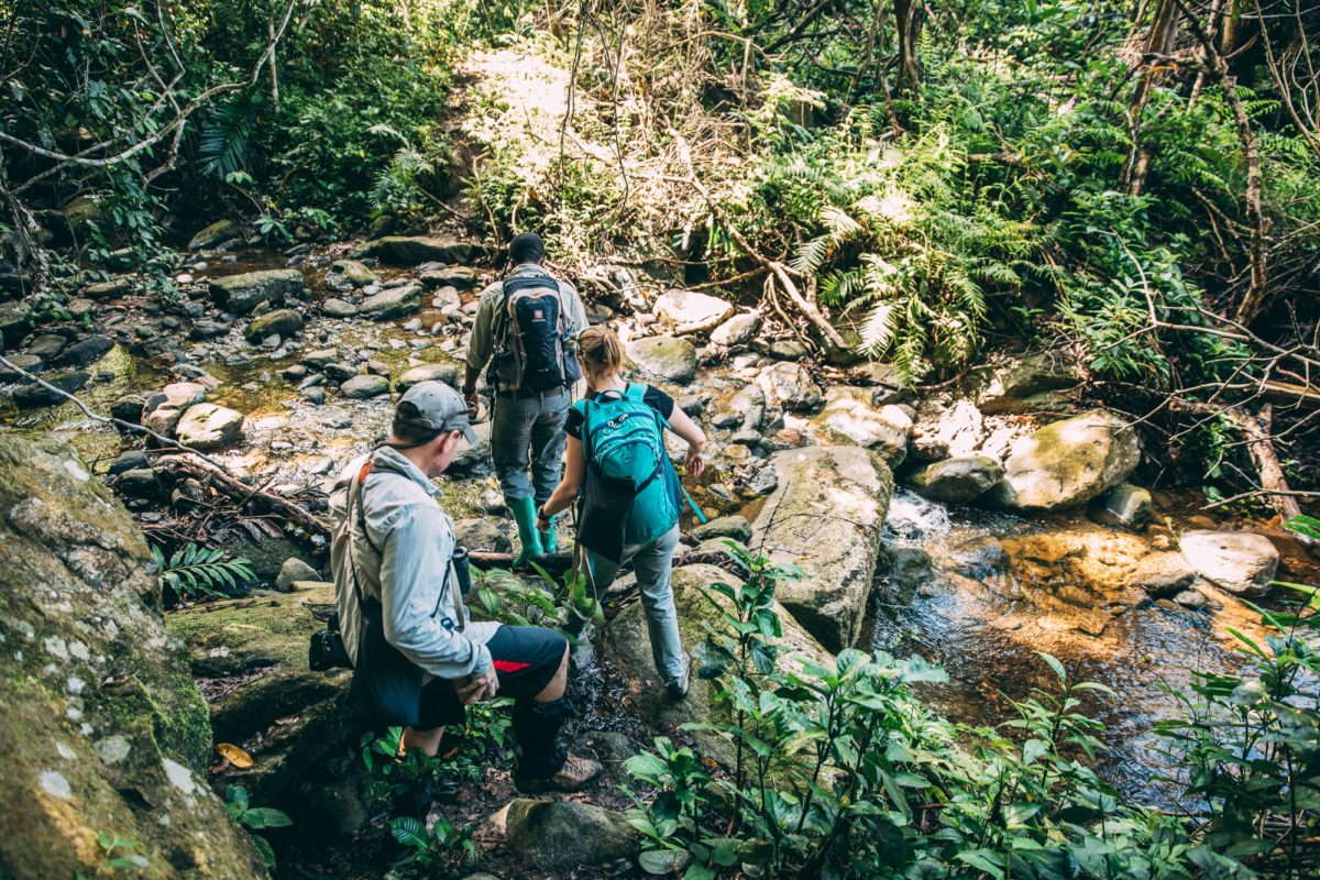 Mahale Mountains National Park