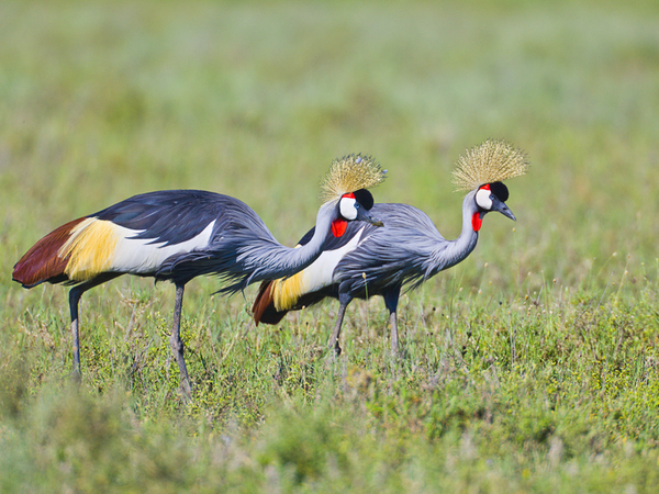 Tarangire National Park