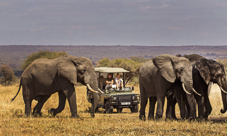 Tarangire National Park