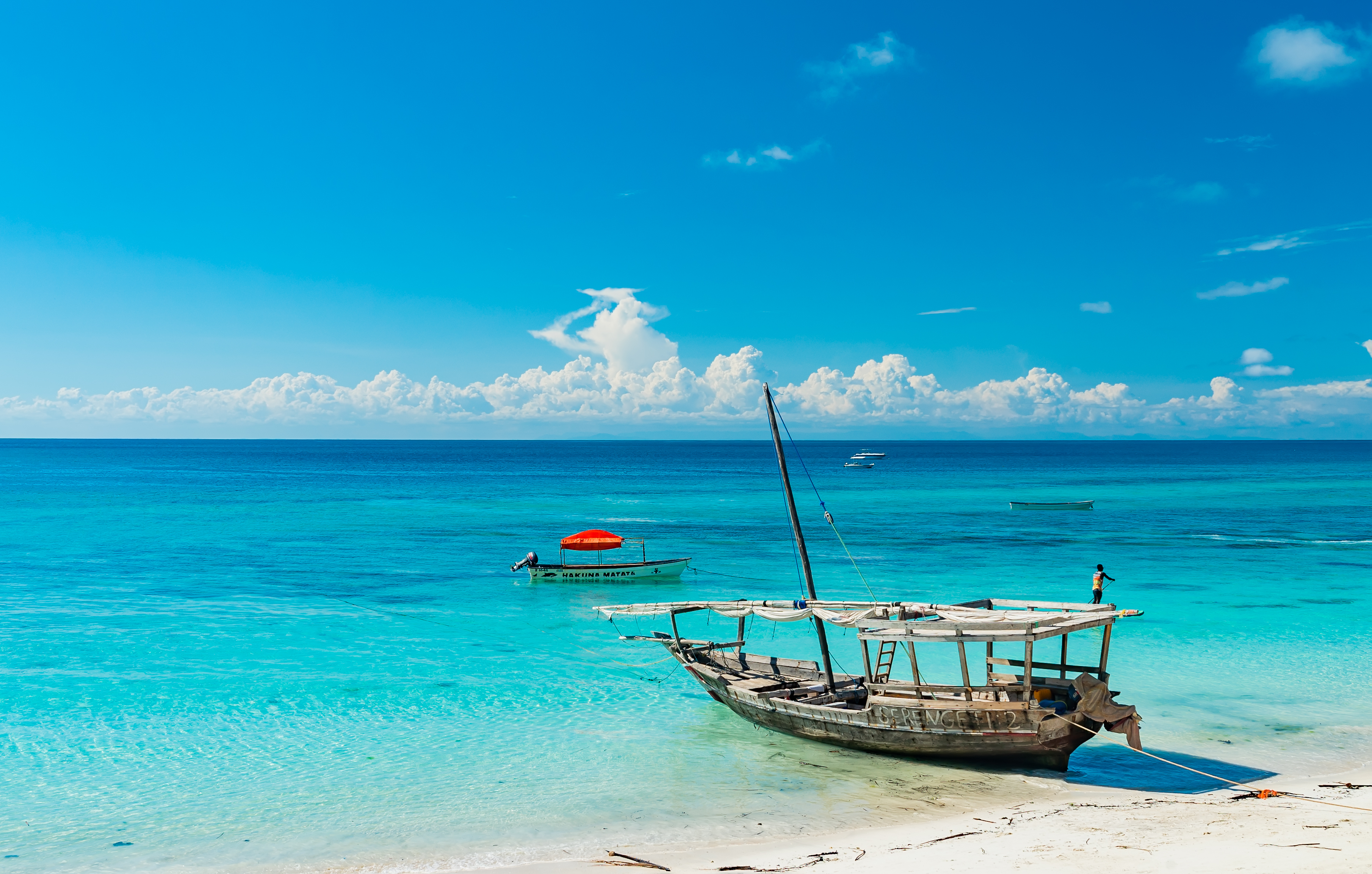 Zanzibar Beach Landscape